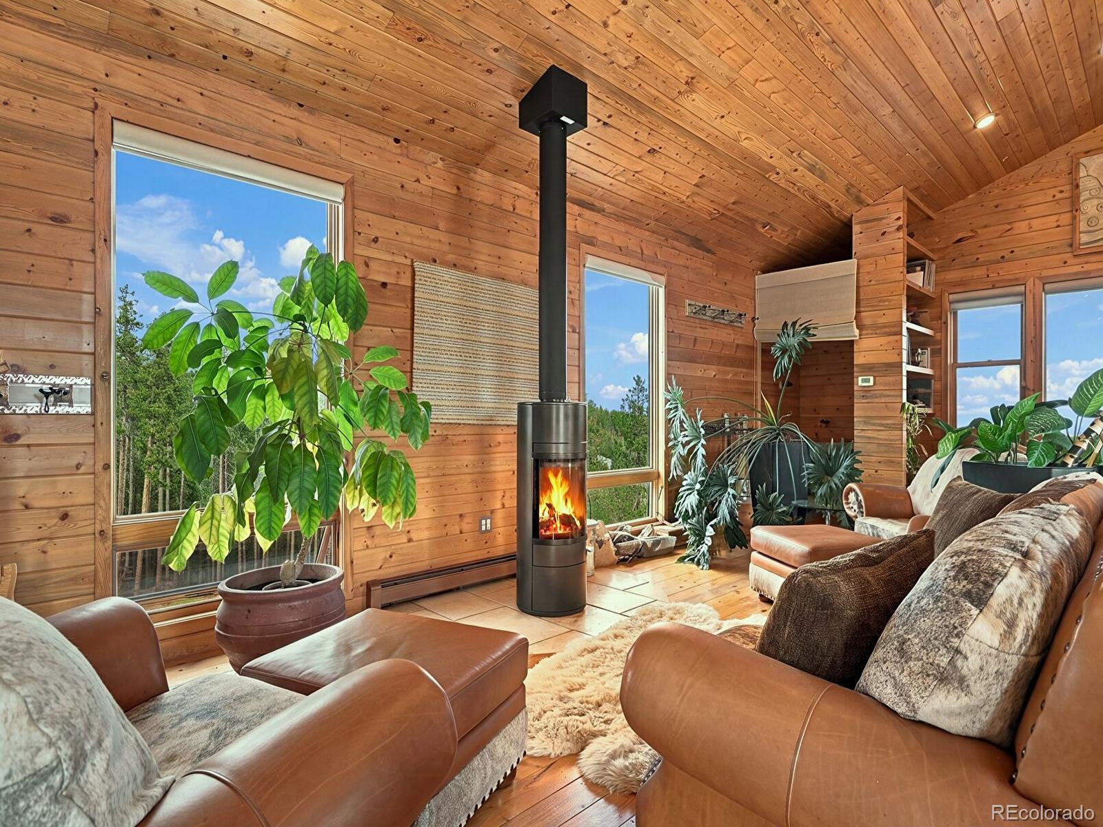 www.ConiferHome.com - Property Listing Photos (38) studio fireplace